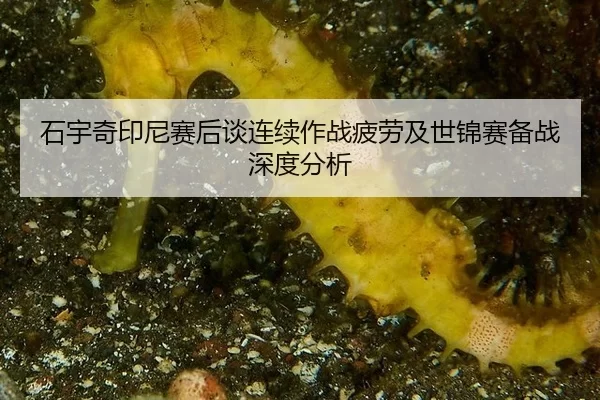 shi-yu-qi-yin-ni-sai-hou-tan-lian-xu-zuo-zhan-pi-lao-ji-shi-jin-sai-bei-zhan-shen-du-fen-xi-2-157.jpg